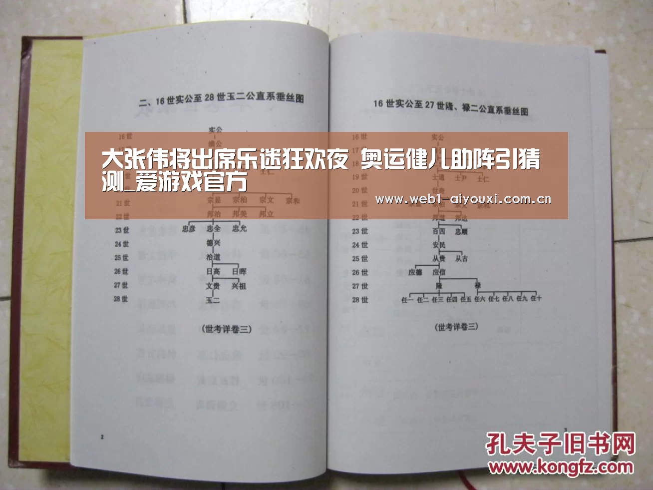 爱游戏体育全站
