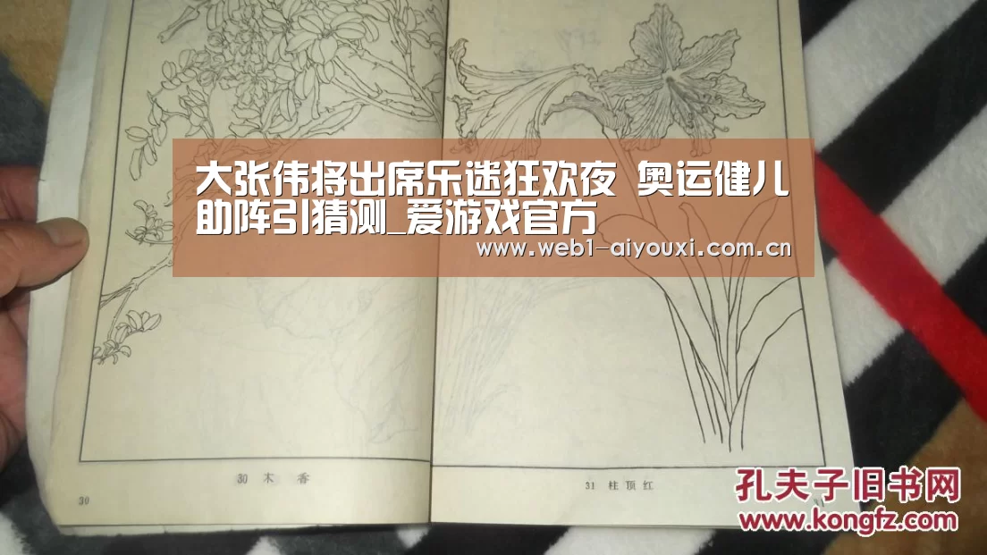 爱游戏体育全站