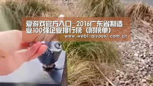 爱游戏官方入口-2016广东省制造业100强企业排行榜(附榜单)(图3) 爱游戏官方