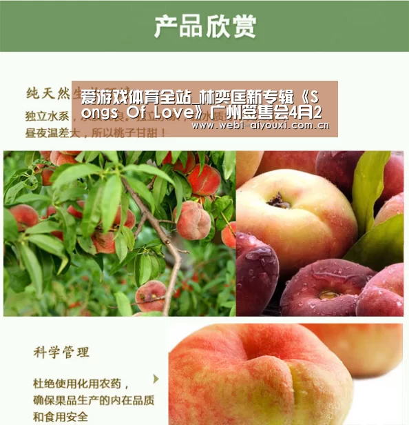 爱游戏官方
