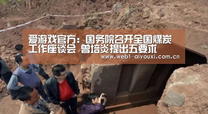 爱游戏官方:国务院召开全国煤炭工作座谈会 曾培炎提出五要求(图3) 爱游戏体育全站