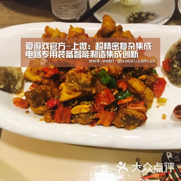 爱游戏官方-上微:超精密复杂集成电路专用装备智能制造集成创新(图2) 爱游戏官方入口
