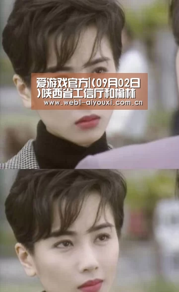 爱游戏官方|(09月02日)陕西省工信厅和榆林市推进煤制油产业化(图4) 爱游戏体育全站