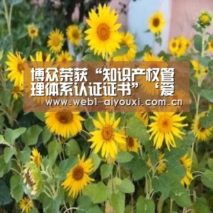 博众荣获“知识产权管理体系认证证书”‘爱游戏官方入口’(图3) 爱游戏官方入口