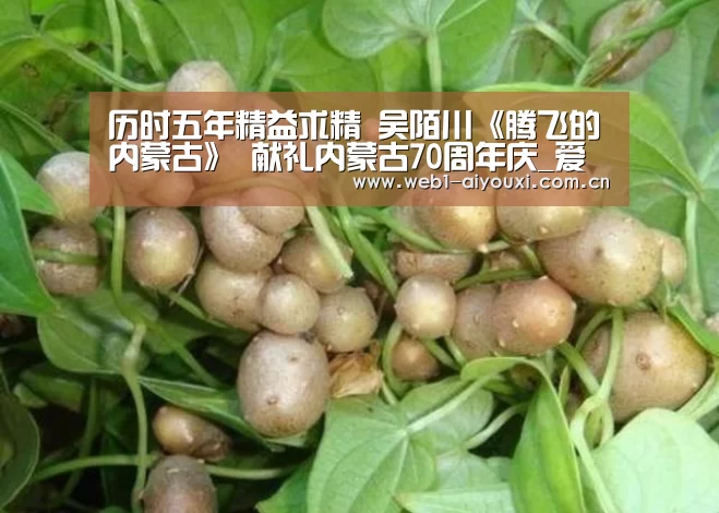 历时五年精益求精 吴陌川《腾飞的内蒙古》 献礼内蒙古70周年庆_爱游戏体育全站(图2) 爱游戏官方